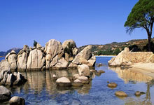 九游体育平台-关于雄心壮志，欧洲篮球联赛豪胆奋斗的信息